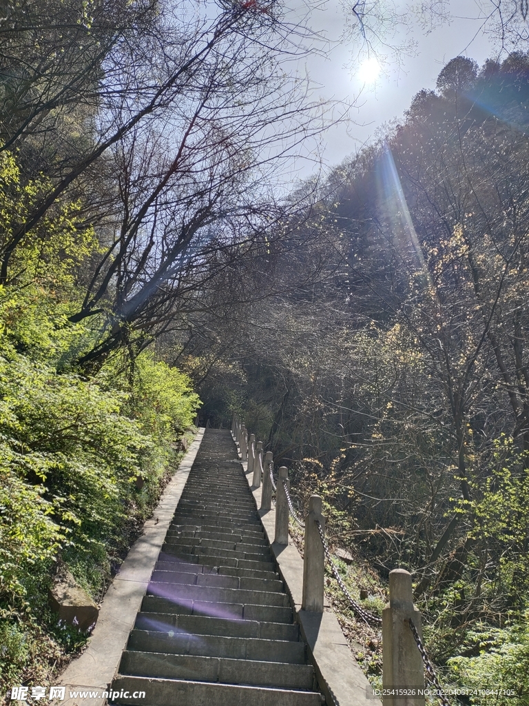 台阶