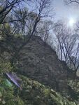 山