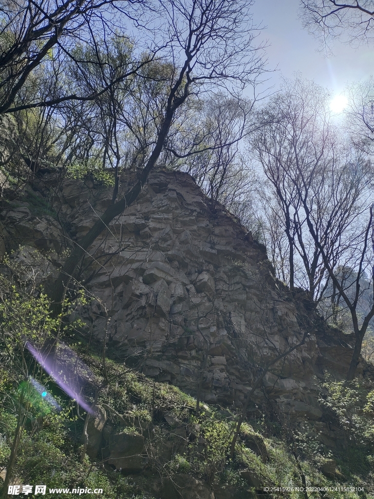 山