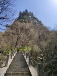 台阶