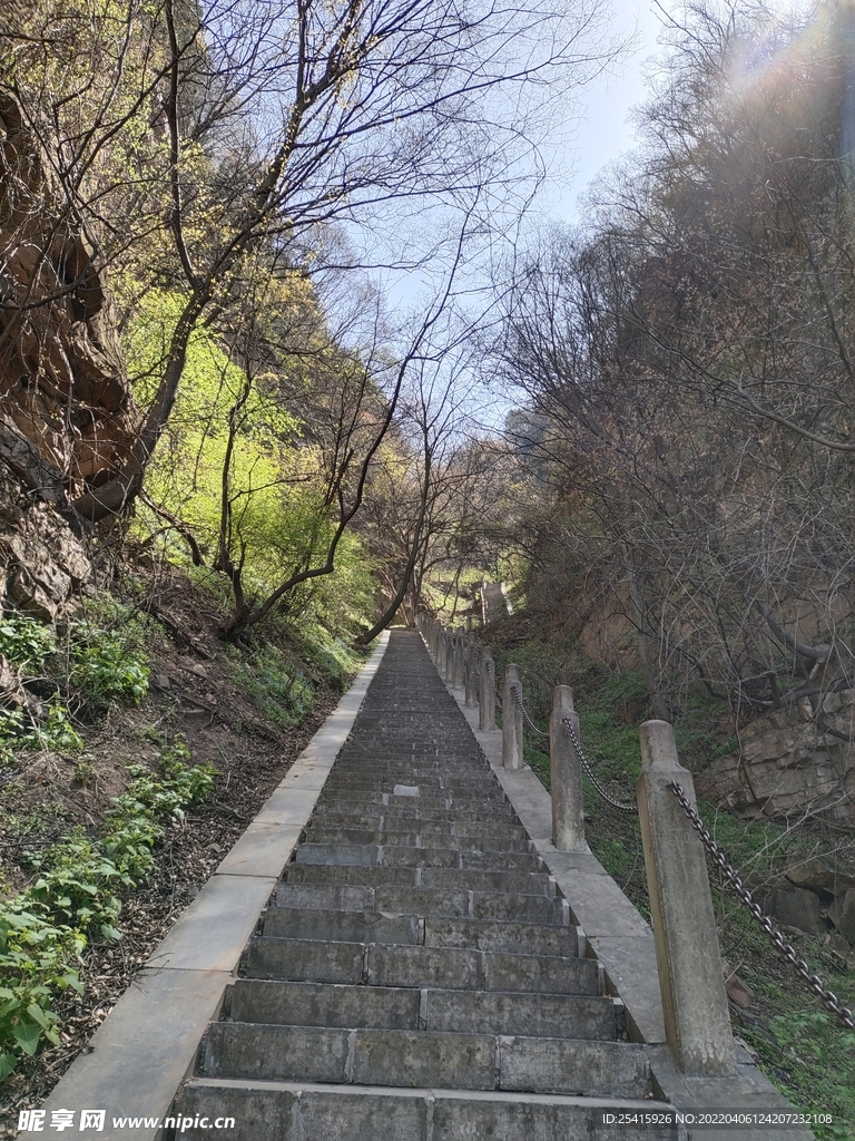 台阶