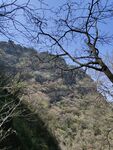 山