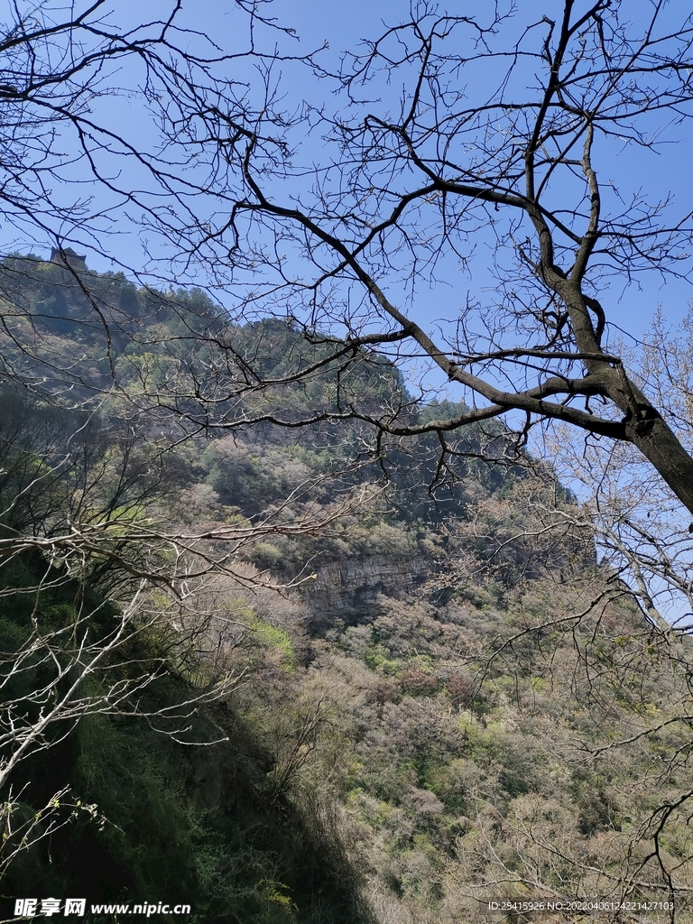 山