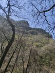 山