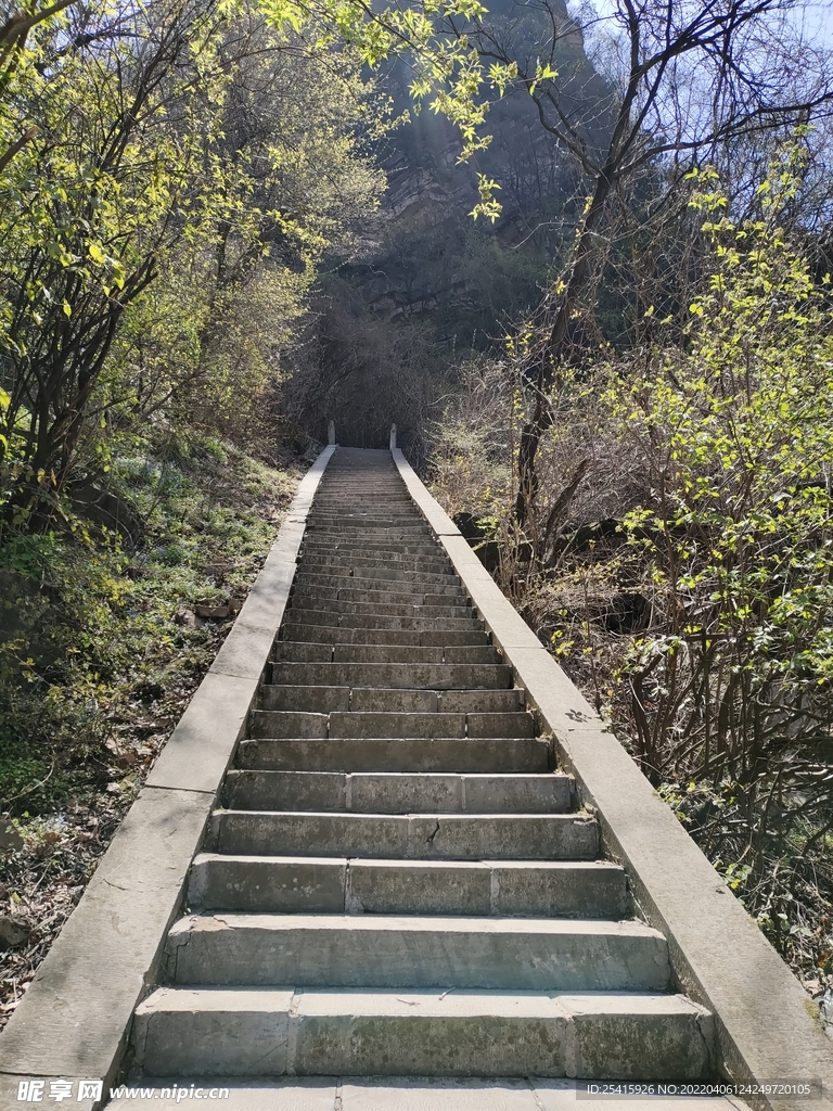 台阶