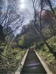 台阶