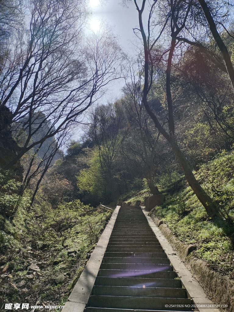 台阶