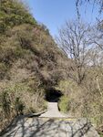 山