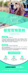 宠物医院展架