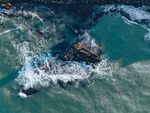 海