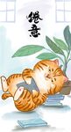  萌主猫           