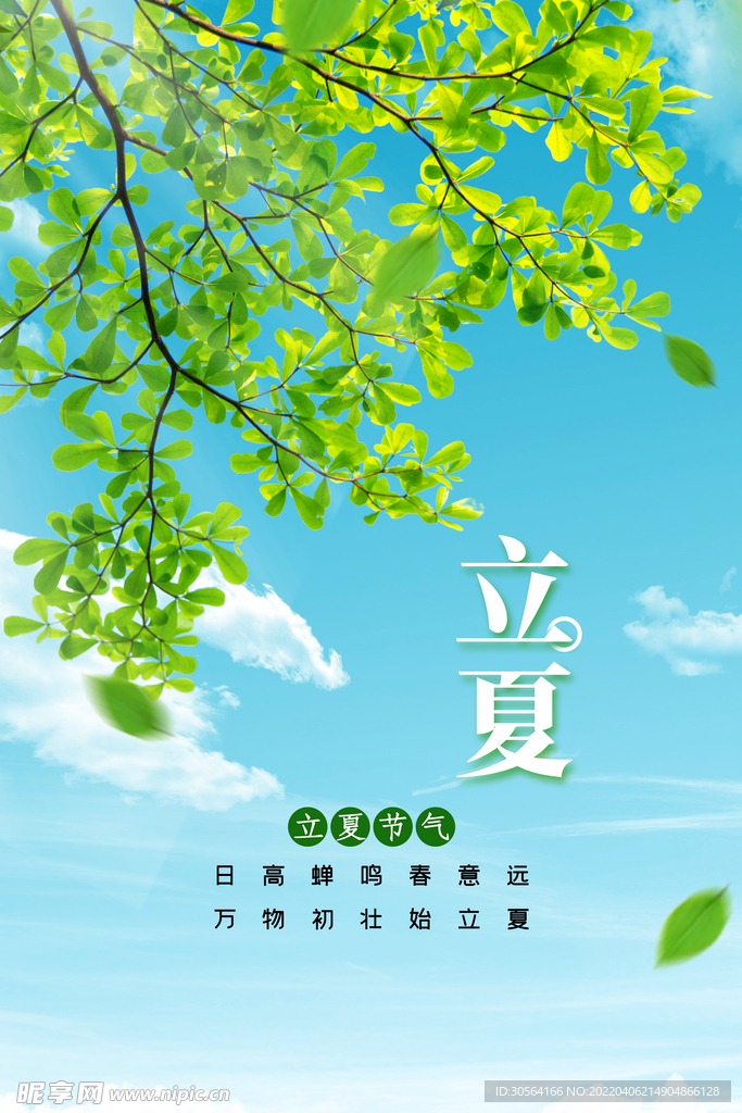 立夏