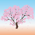 樱花树