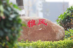校园  风景  雅文化石