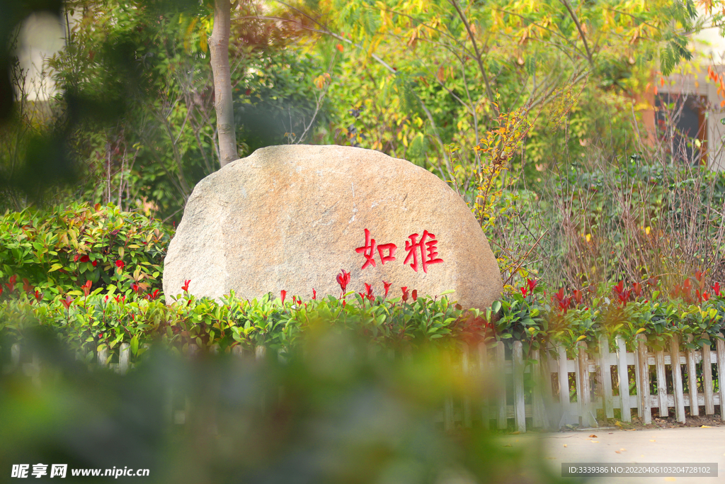 校园  风景  