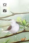 立春插画图片