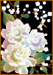茉莉花插画