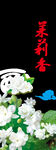  茉莉花插画