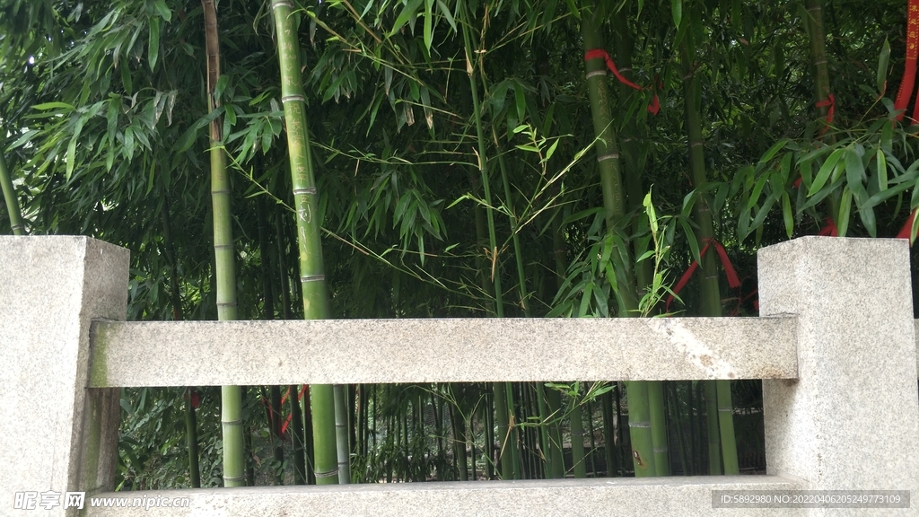 竹林围栏
