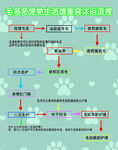 宠物店洗发流程