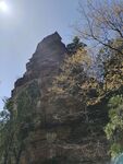 山