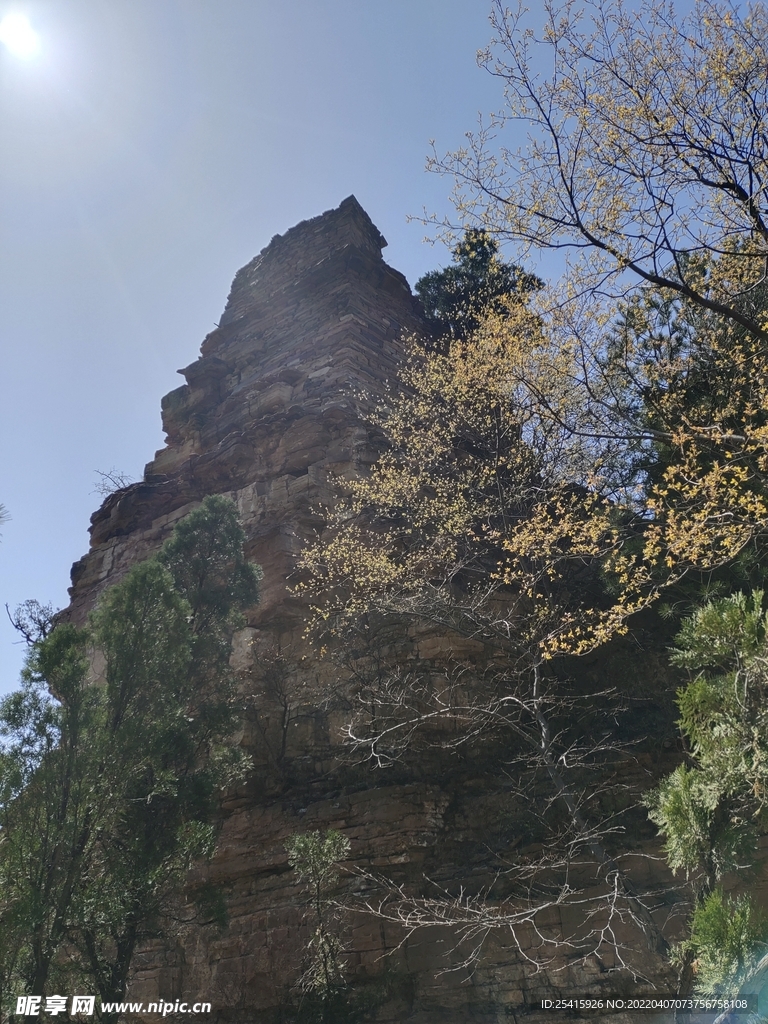 山