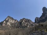 山