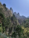 山