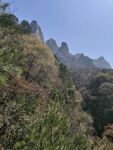 山