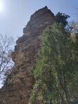 山