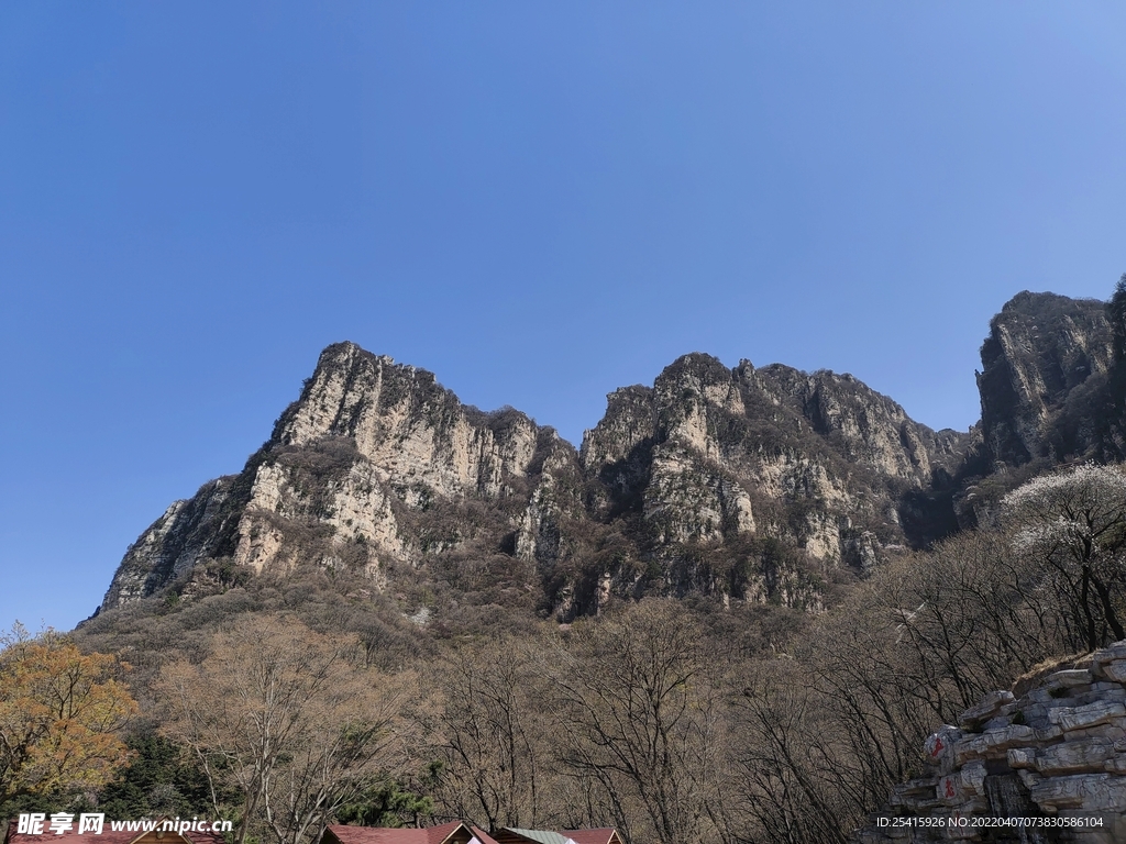 山