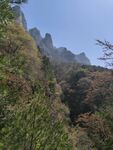山
