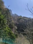 山