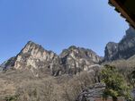 山