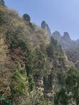 山