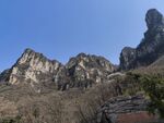 山