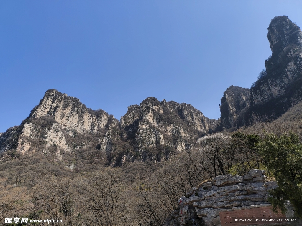 山