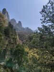 山