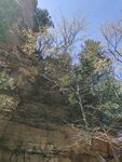 山