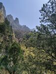 山