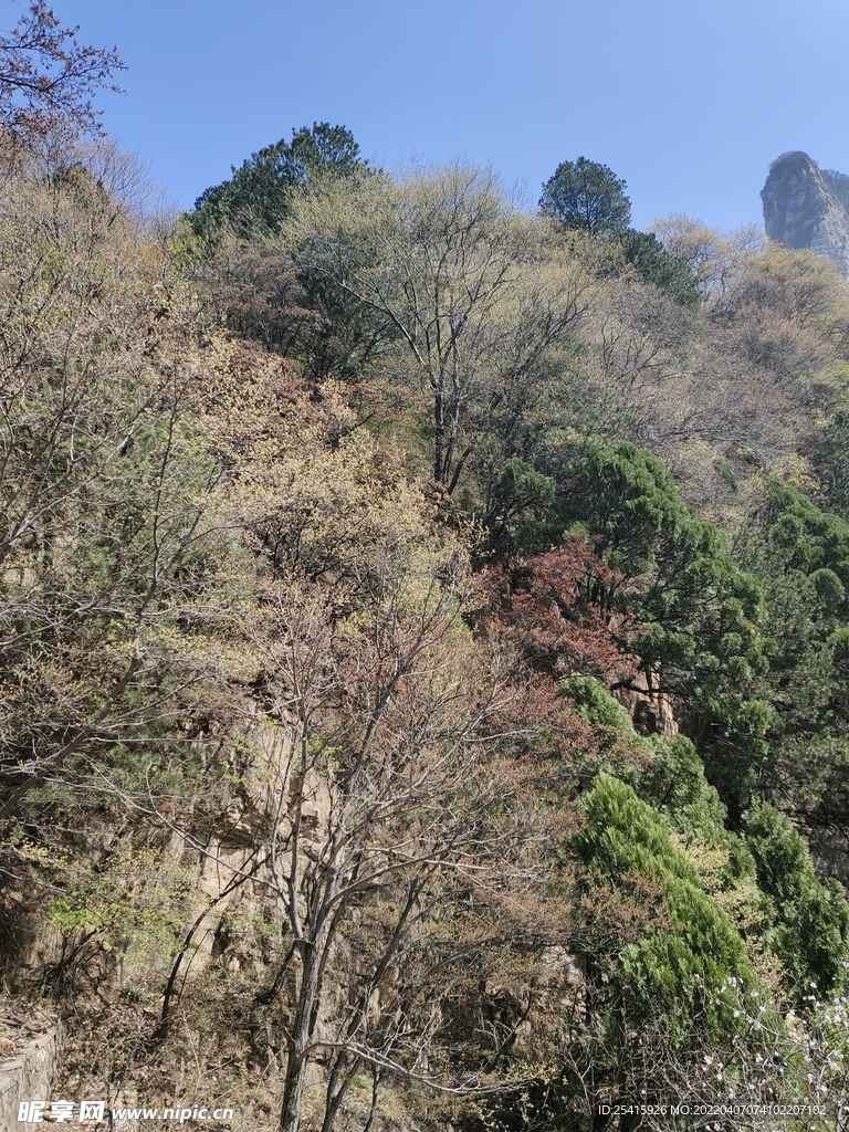 台阶