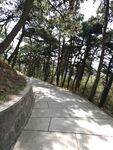 路