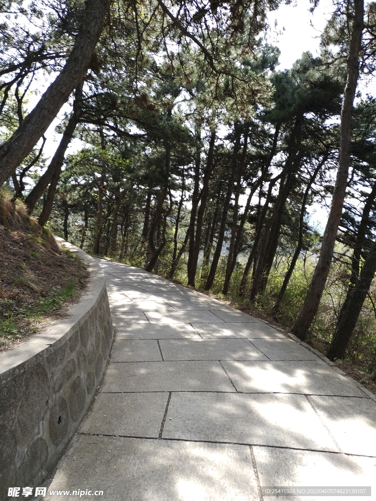 路摄影图__国内旅游_旅游摄影_摄影图库_昵图网