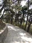 路