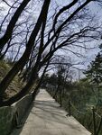 路