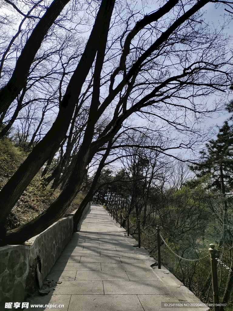 路