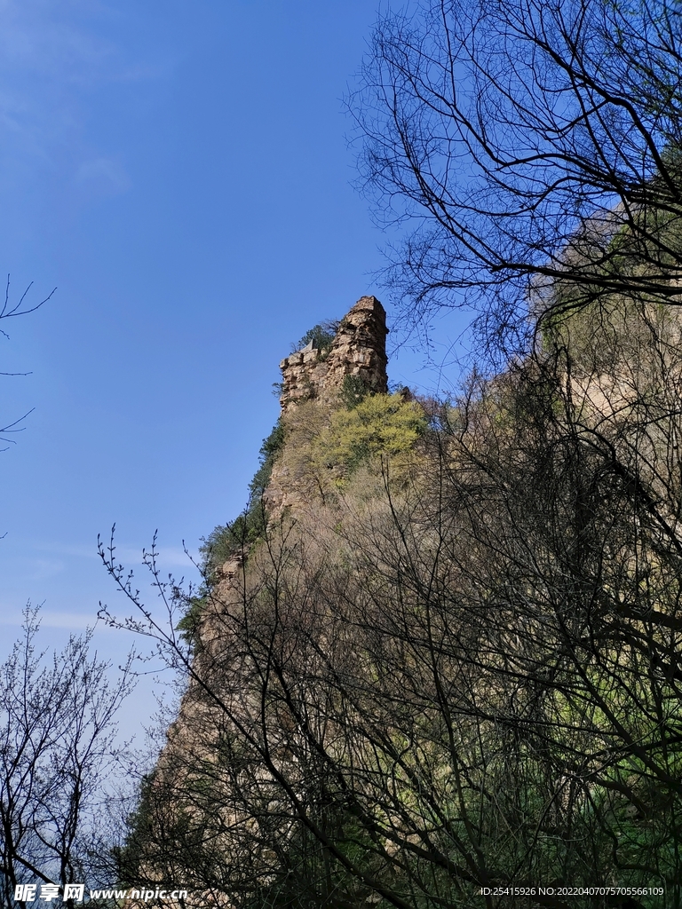 山
