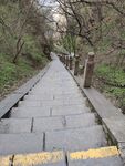 台阶