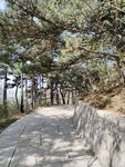 路