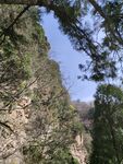 山